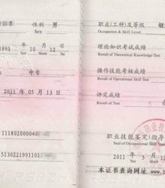 钢筋工上岗证